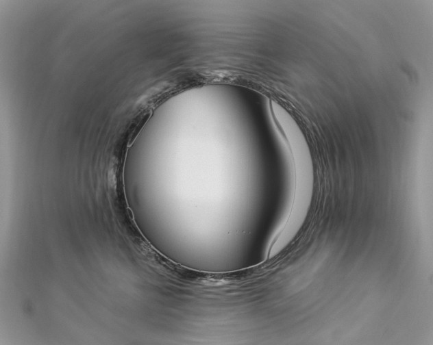 X0000112820570200909041517