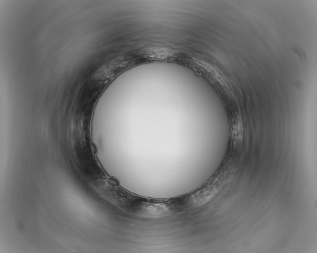 X0000112820572200909041517