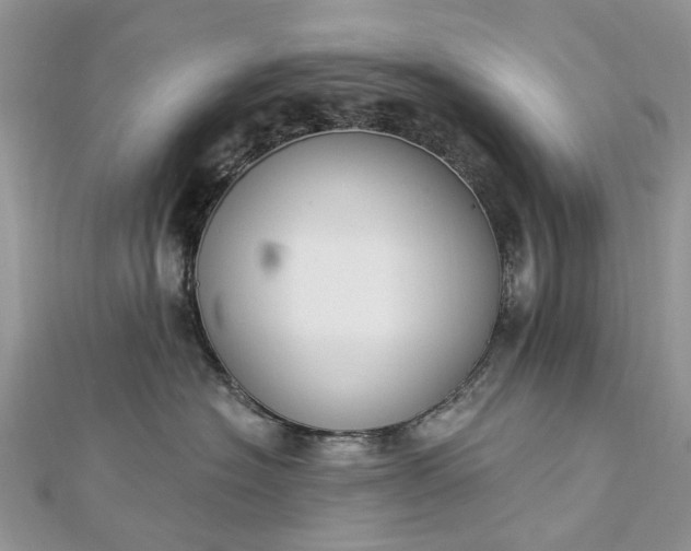 X0000112820574200909041517