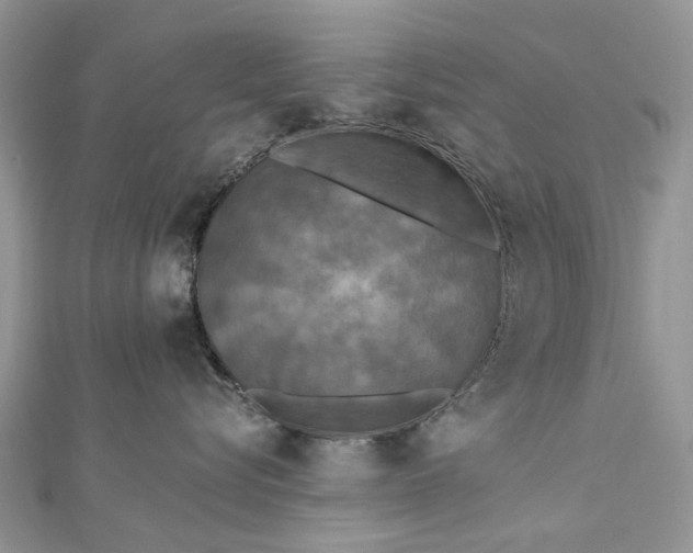 X0000112820576200909041517