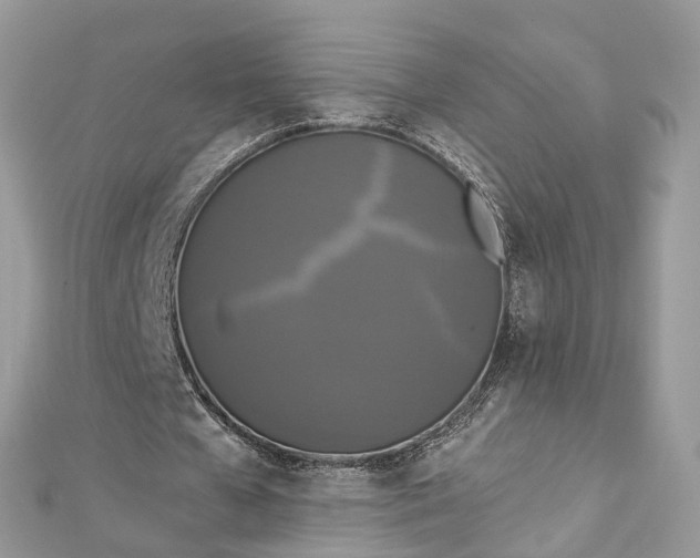 X0000112820577200909041517