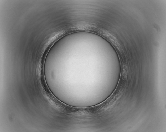 X0000112820578200909041517