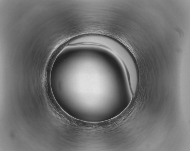 X0000112820579200909041516