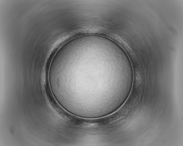 X0000112820582200909041516