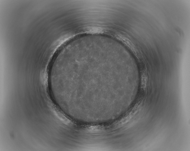 X0000112820584200909041516