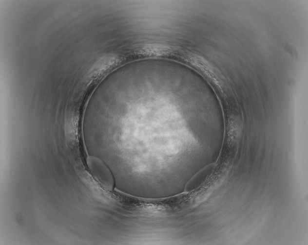 X0000112820585200909041516