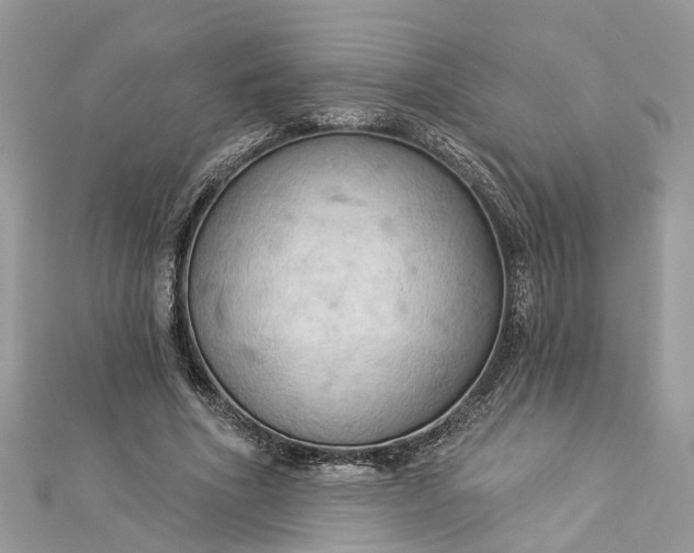 X0000112820586200909041516