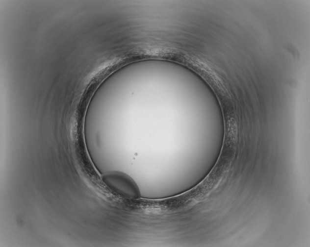 X0000112820587200909041516