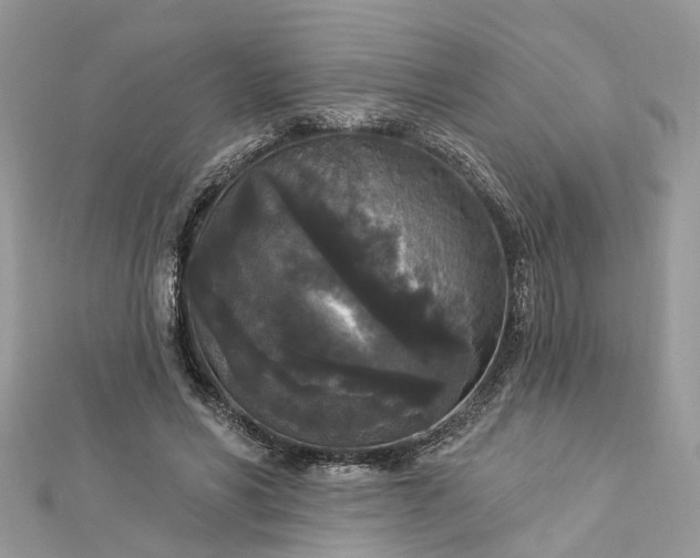 X0000112820590200909041516