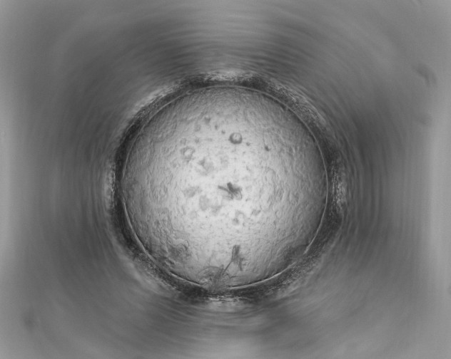 X0000112820591200909041516