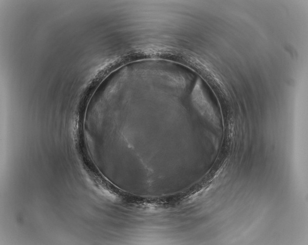 X0000112820592200909041516