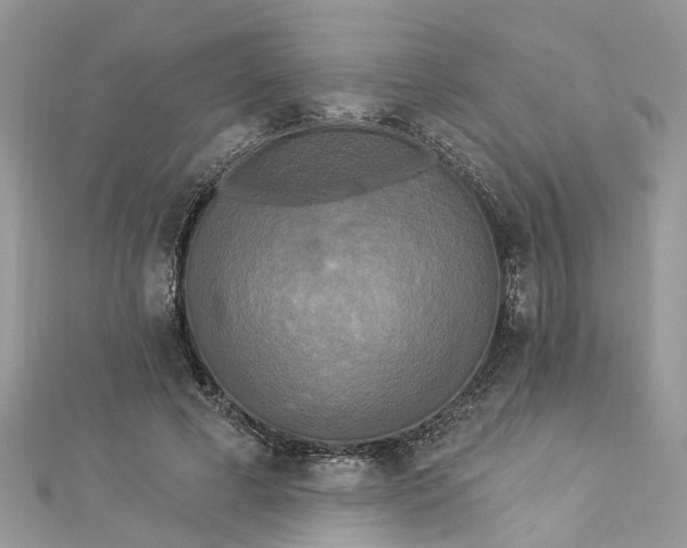 X0000112820593200909041516