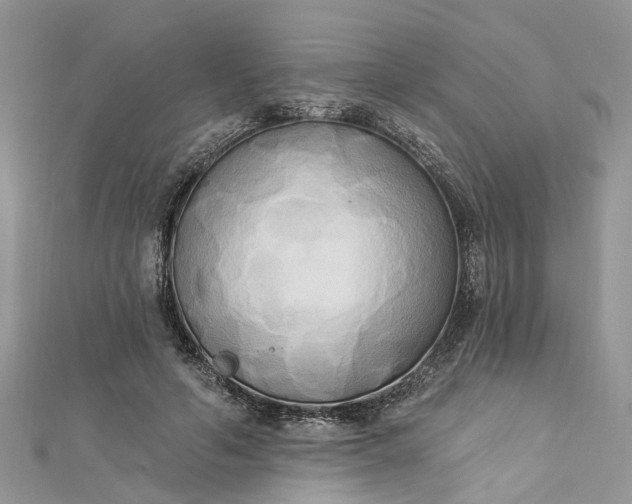 X0000112820594200909041516