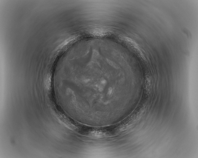 X0000112820596200909041516