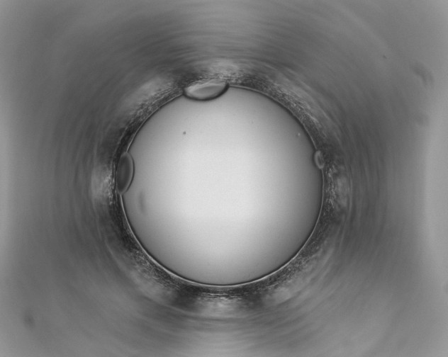 X0000112820597200909041516