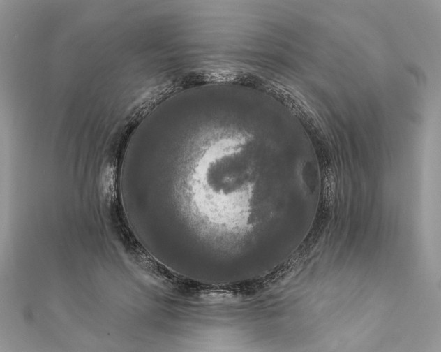 X0000112820598200909041516