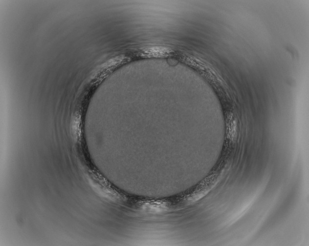 X0000112820599200909041516