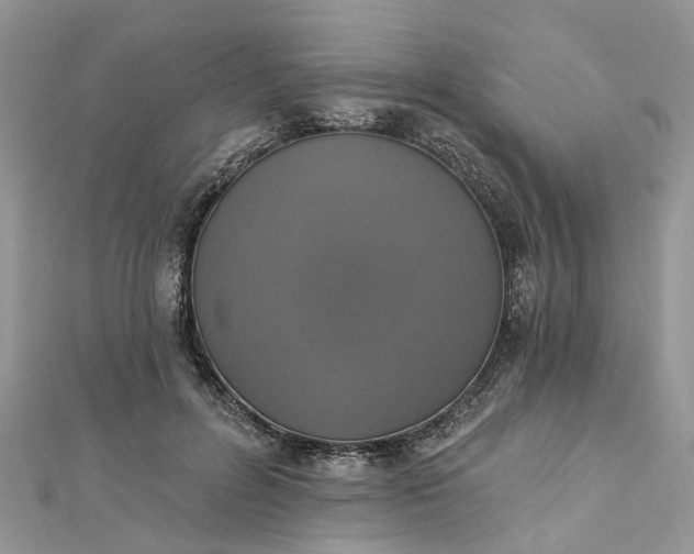 X0000112820600200909041516