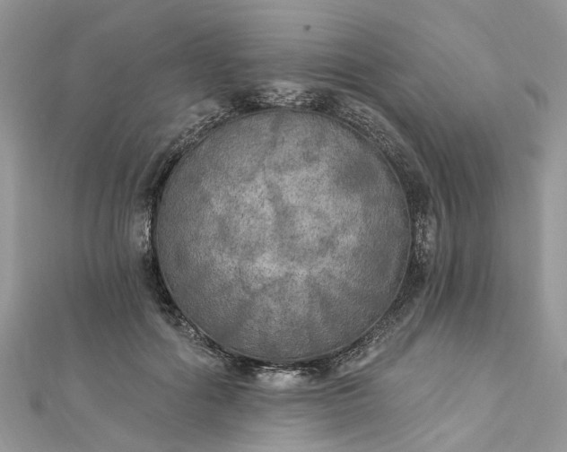 X0000112820602200909041516