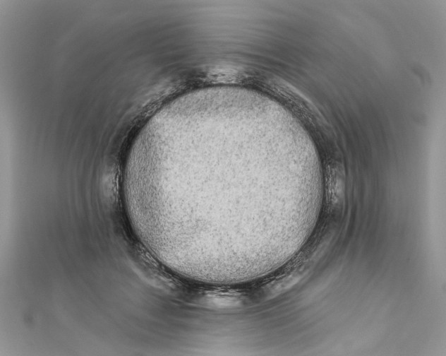 X0000112820603200909041516