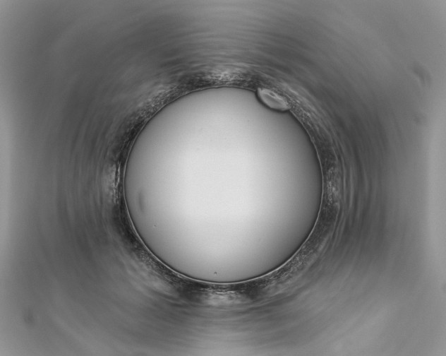 X0000112820605200909041516