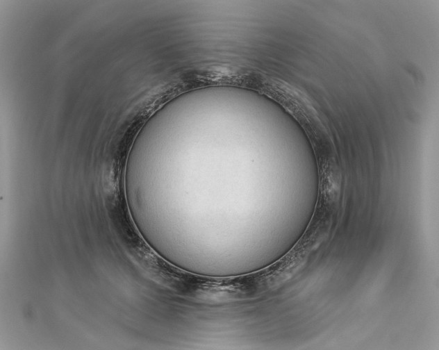 X0000112820607200909041516