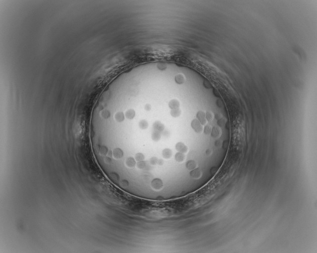 X0000112820608200909041516