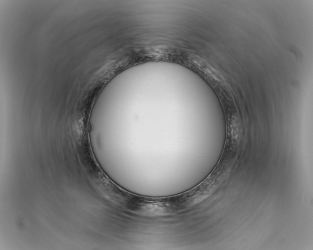 X0000112820611200909041516