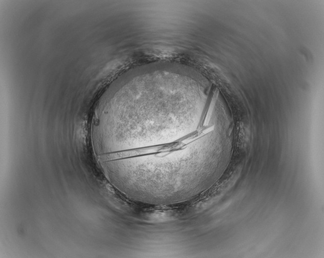 X0000112820612200909041516