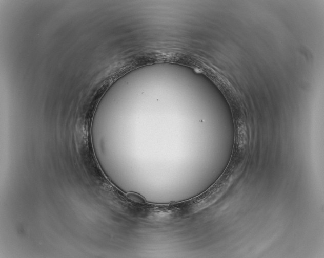 X0000112820613200909041516