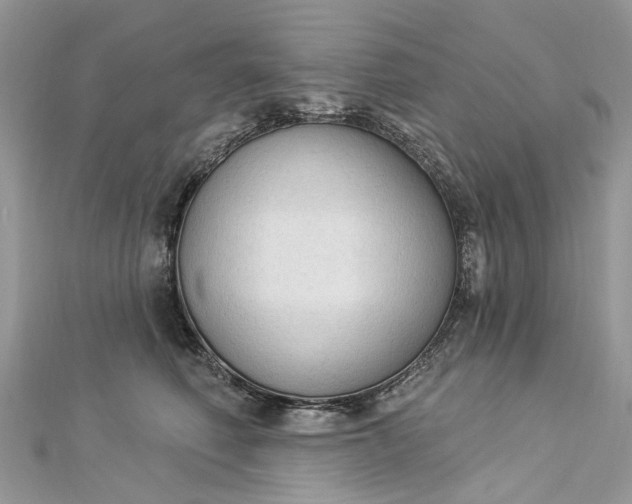 X0000112820614200909041516