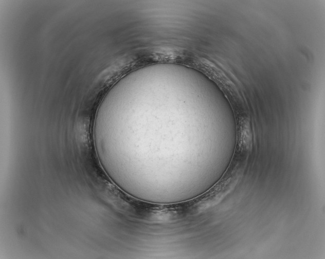 X0000112820616200909041516