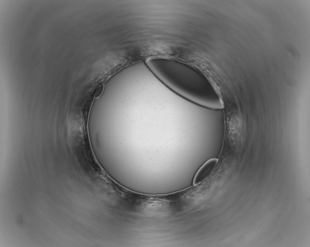 X0000112820617200909041516