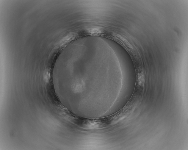 X0000112820618200909041516