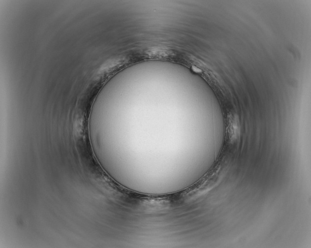 X0000112820619200909041516