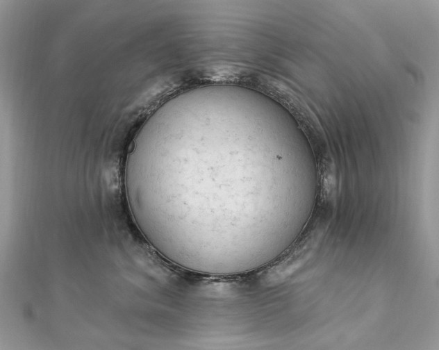 X0000112820620200909041516