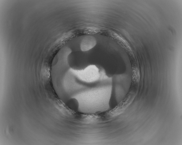 X0000112820621200909041516