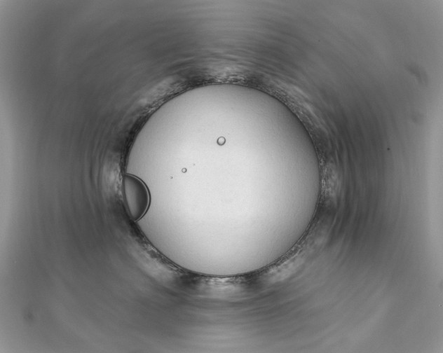 X0000112820622200909041516