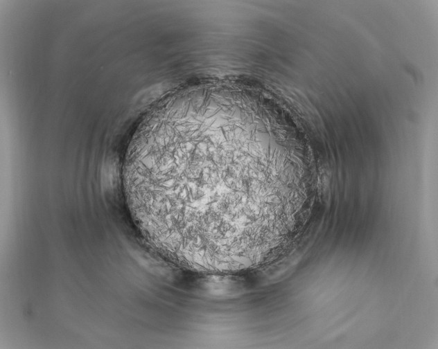 X0000112820623200909041516