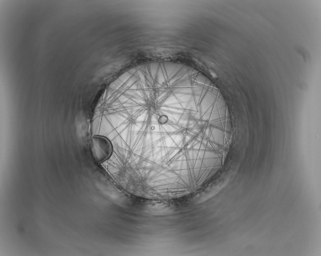 X0000112820624200909041516