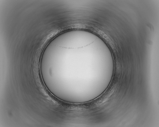 X0000112820625200909041515