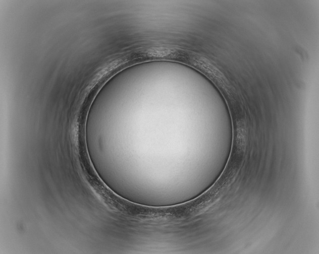 X0000112820626200909041515