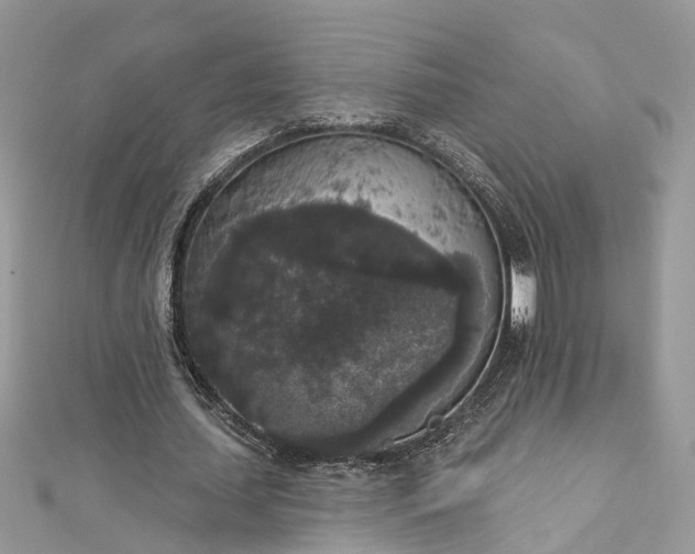 X0000112820627200909041515