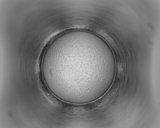 X0000112820628200909041515