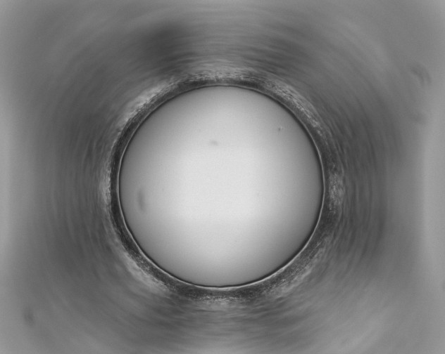 X0000112820629200909041515