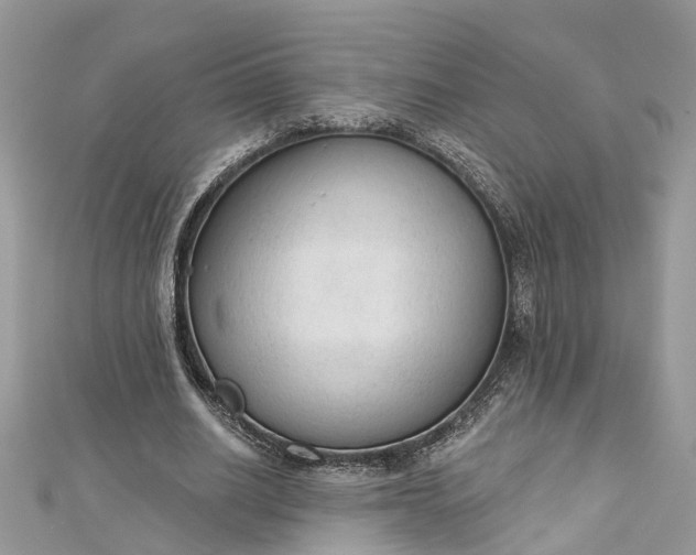 X0000112820630200909041515