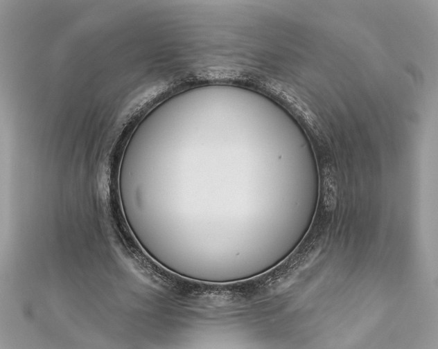 X0000112820631200909041515