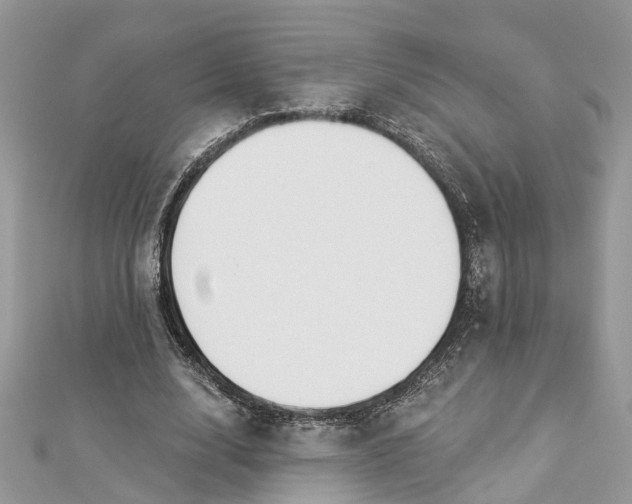 X0000112820632200909041515