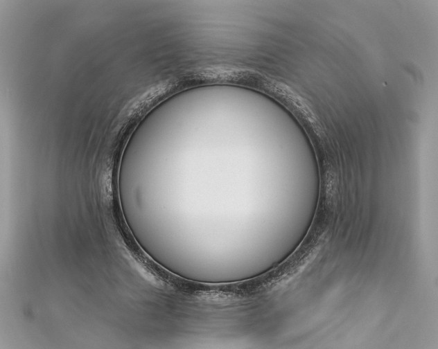 X0000112820633200909041515