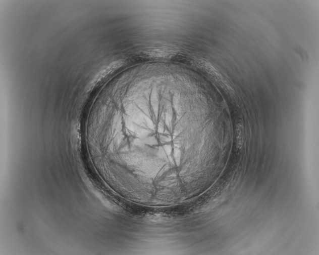 X0000112820634200909041515